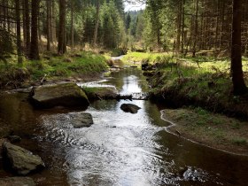 Kotting Nondorf - Wanderweg, © Josef Kettinger