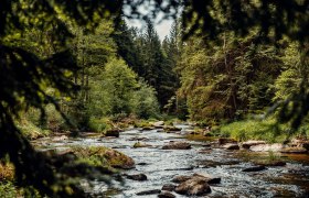 Kamptal zwischen Roiten und Zwettl, © Österreichs Wanderdörfer, CreativeJungle