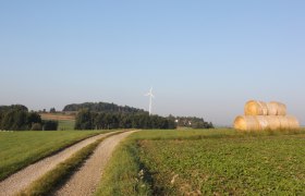 Grabenwanderung nach Litschgraben, Nr. 43, © Stadtgemeinde Gföhl