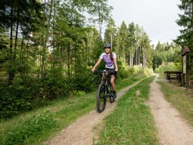 Mountainbiken Waldviertel, © Waldviertel Tourismus