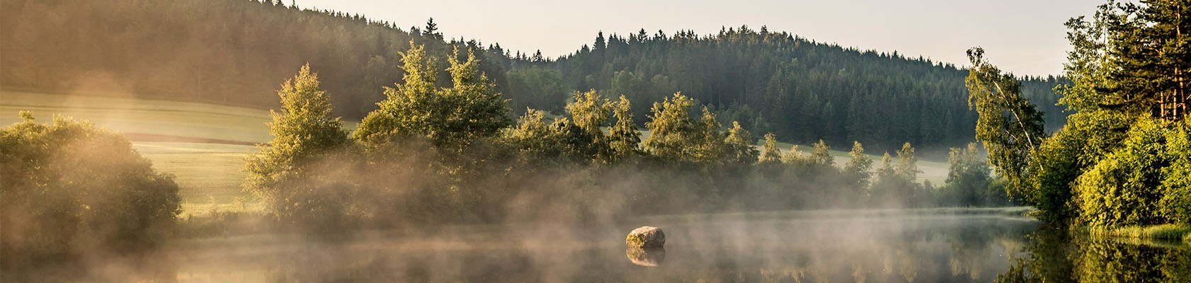 Frauenwieserteich, © Waldviertel Tourismus, Robert Herbst