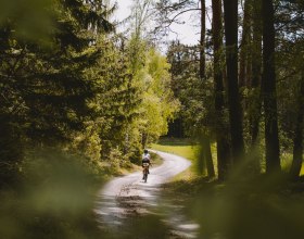 Radfahren im Waldviertel, © Waldviertel Tourismus, Franziska Consolati