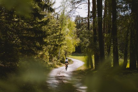 Radfahren im Waldviertel, © Waldviertel Tourismus, Franziska Consolati