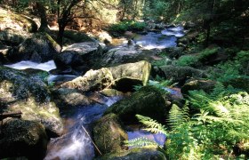 Höllfall, © Waldviertel Tourismus, Reinhard Mandl