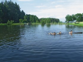 Badeteich Rörndlwies, © © Marktgemeinde St. Martin