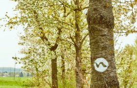 Farbmarkierung entlang vom Weitwanderweg Nibelungengau, © Donau Niederösterreich / Klaus Engelmayer