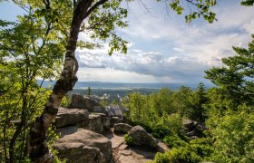 Mandelstein im Frühling, © Freitag