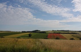 Blick Richtung Pleßberg-Ottenschlag, © Martina Fuchs-Köck