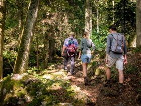 Yspertal, © Waldviertel Tourismus, Studio Kerschbaum