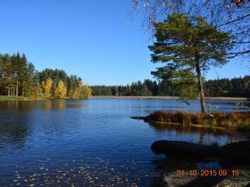 Grießbachteich bei Amaliendorf, © Karl Prohaska