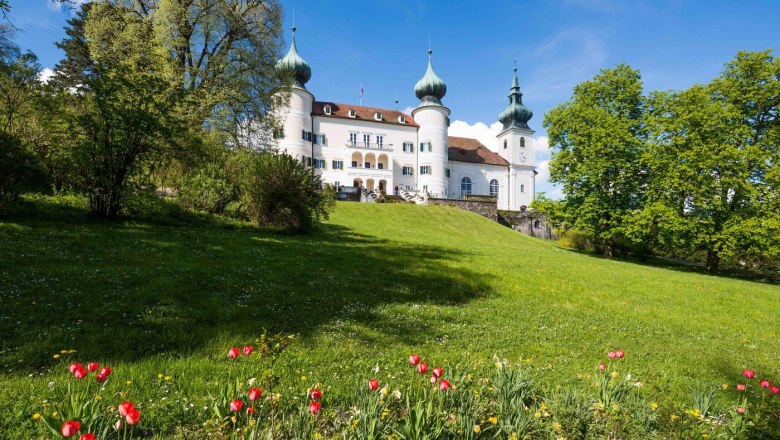 Schloss Artstetten Südseite, © Schloss Artstetten