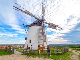 Windmühle in Retz, © Retzer Land / Mödl