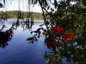 Edlesberger See, © Gemeinde Gutenbrunn