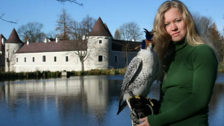 Schloss Waldreichs, © NÖ Falknerei und Greifvogelzentrum