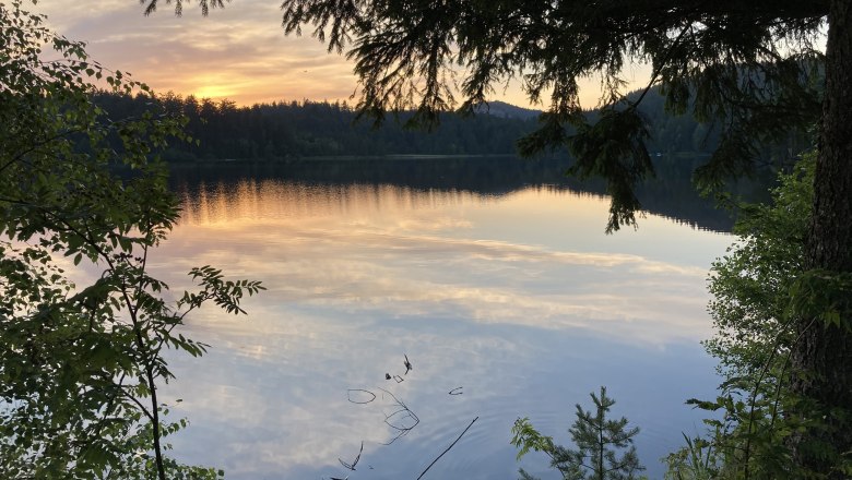 Edlesbergerteich Abendstimmung, © Dieter Juster