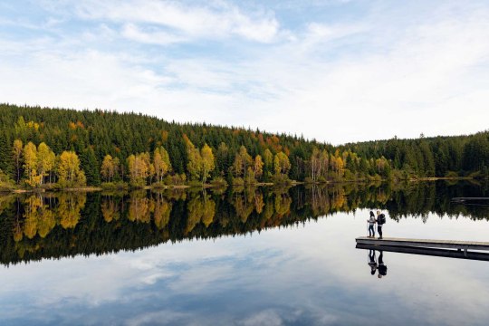 Etappe 4: Schlesingerteich, © Lebensweg, Studio Kerschbaum