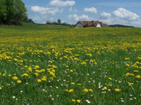 Weltkugel-Wanderweg, © © Josef Kettinger