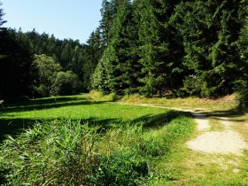 Wanderweg zur Klauskapelle, © Braun Gottfried