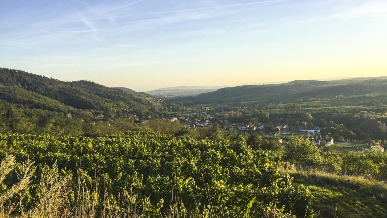 Rieden, Schönberg am Kamp, © Yvonne Birghan Van Kruijssen