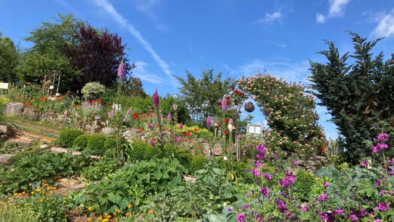 Schaugarten Bienen & Blumen Huber, © Maria Huber