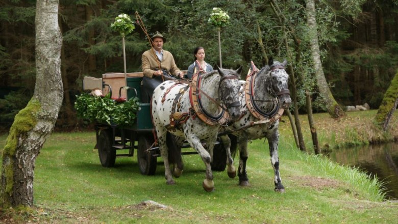 Gerne bieten wir auch eine entspannende Kutschen-fahrt in die schöne Natur an. (gegen Gebühr), © Franz Inghofer