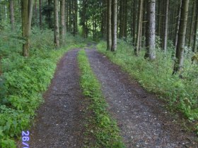 Stiefelweg, © Waldviertel Tourismus