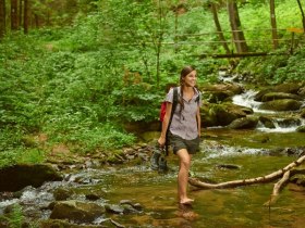 Wandern in der Steinbachklamm zwischen Marbach und Maria Taferl, © Donau Niederösterreich / Klaus Engelmayer