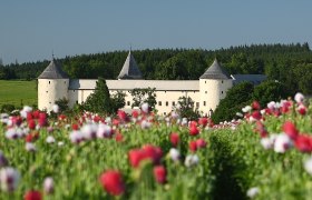 Schloss Ottenschlag, © © Martin Rehberger