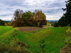 Wald, © Gottfried Grossinger