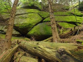 Steinerne Stube, © Waldviertel Tourismus