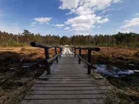 Moorlehrpfad im Naturpark Heidenreichsteiner Moor, © Thomas Diesner