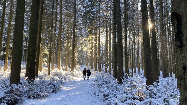 Winterwandern im Weinsbergerwald, © Dieter Juster