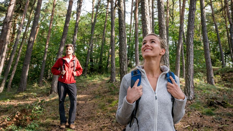 Wandern im Südlichen Waldviertel, © Waldviertel Tourismus, Studio Kerschbaum