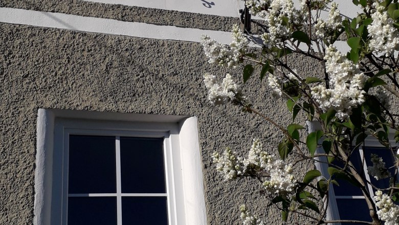 Frühling im Ferienhaus Ottenschlag, © U.E.