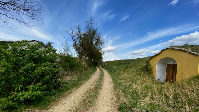 Klein, aber fein, diese Kellergasse, © Weinstraße Weinviertel