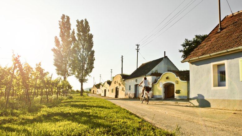 Vinařské jaro v Kamptalu, © Robert Herbst, kamptal.at