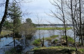 Winklauerteich Heidenreichstein, © Gerhard Kirchmaer