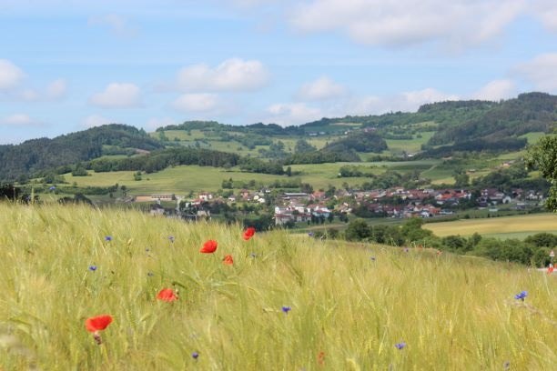 Blick-auf-raxendorf, © Gemeinde