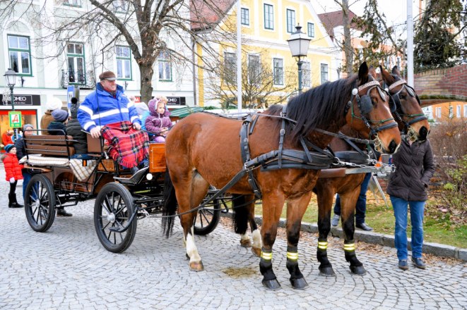 Pferdekutschenfahrt für die ganze Familie, © Stadtgemeinde Zwettl