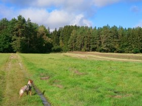 Blockheideweg, © Marktgemeinde Hoheneich