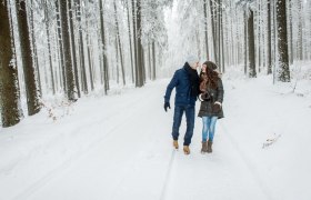 Winterwandern durch die Wälder, © Waldviertel Tourismus, Studio Kerschbaum