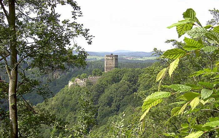 Ruine Schauenstein von Osten, © Leopold Hollensteiner