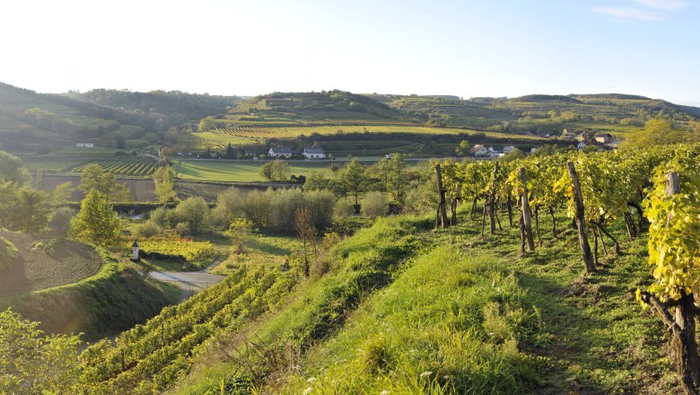 Naturpark Kamptal-Schönberg, © Franz Gangelmayer