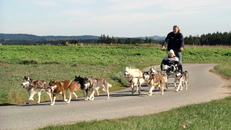 Huskyranch Waldviertel, © Huskyranch Waldviertel