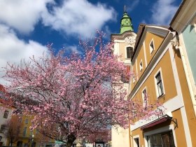 Altes Rathaus, © Waldviertel Tourismus