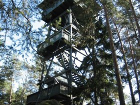 Nordwaldturm am Schwarzenberg (Copyright: Naturpark Nordwald), © Waldviertel Tourismus