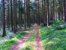 In der Arndorfer Leiten, © Gottfried Grossinger