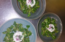 Apfel-Kren Tartare mit Vogerlsalat, © HIRSCH28