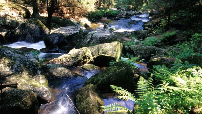 Vodopády Höllfall, © Waldviertel Tourismus, Reinhard Mandl