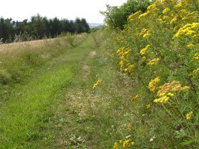 Silbersteig, © Waldviertel Tourismus